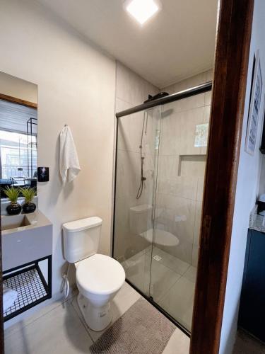 巴拉奈里奥-坎布里乌LOFT BC的一间带卫生间和玻璃淋浴间的浴室
