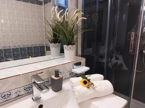 坎皮纳卡萨布兰卡旅馆的浴室设有水槽,上面有花