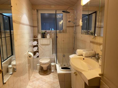 圣路易Appartement 3 lys的一间带水槽、卫生间和淋浴的浴室