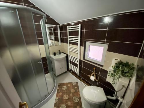 瓦杜伊泽Floare de Maramures 1的带淋浴和卫生间的浴室以及电视。
