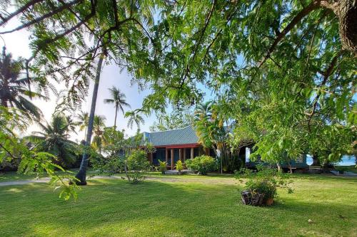 莫雷阿Turia's Beach Villa的棕榈树绿色庭院度假屋