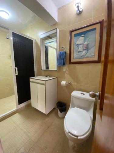 塔斯科·德·阿拉尔孔Casa Vista hermosa de taxco的一间带卫生间、水槽和镜子的浴室