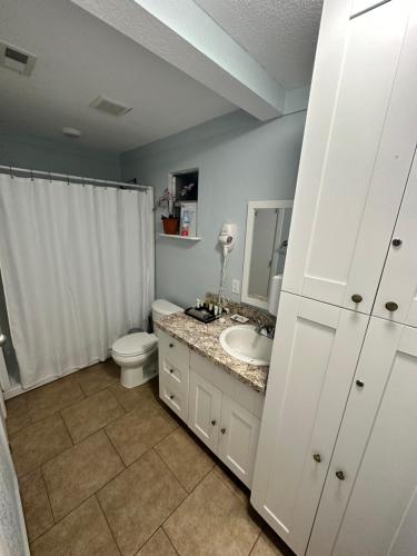 霍姆斯泰德Arritola B and B Ranch的一间带卫生间和水槽的浴室