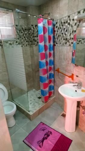 圣多明各Guest-House alquiler的一间带水槽、淋浴和卫生间的浴室