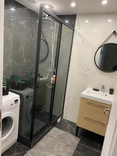 奥赛Amazing flat, Paris suburb, near Versailles ,Orly的带淋浴、盥洗盆和洗衣机的浴室