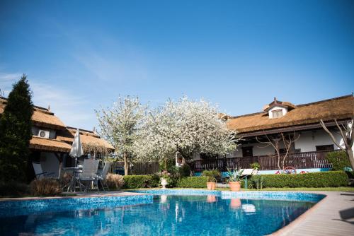 图尔恰Pensiunea Casa Varvara的一座开满鲜花的树屋前的游泳池