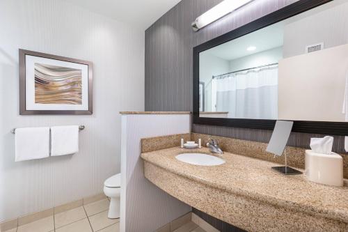伯利恒伯利恒利哈谷/I-78万怡酒店的一间带水槽和卫生间的浴室