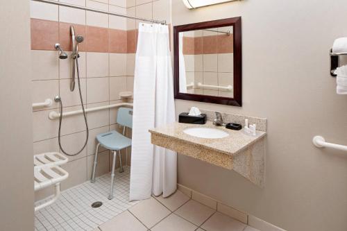 阿德莫尔万豪阿德莫尔春季山丘套房酒店的一间带水槽和淋浴的浴室