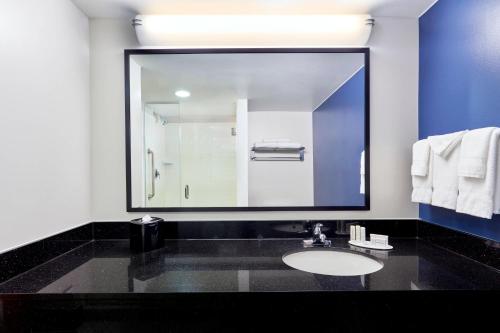 印第安纳波利斯费尔菲尔德印第安纳珀里斯市中心酒店的一间带水槽和大镜子的浴室