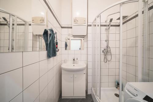 布拉格Josefov Riverside Apartment的白色的浴室设有水槽和镜子