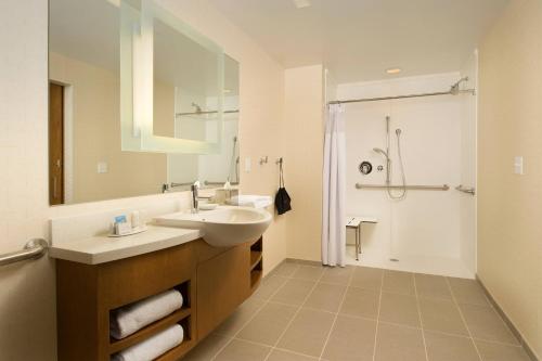 布里奇波特布里奇波特克拉克斯堡春季山丘套房酒店的一间带水槽和淋浴的浴室