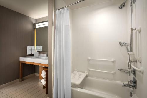 伊利伊利湖湾万怡酒店的带淋浴、浴缸和盥洗盆的浴室