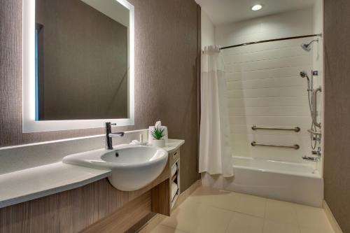 格尔夫波特SpringHill Suites by Marriott Gulfport I-10的浴室配有水槽、淋浴和浴缸。