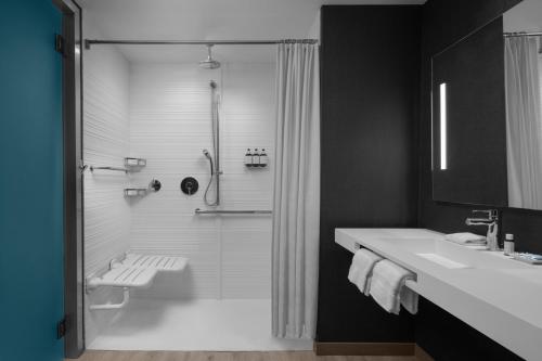 坦帕AC Hotel by Marriott Tampa Airport的黑白浴室设有淋浴和水槽