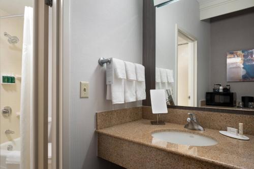 东叙拉古雪城环路万怡酒店的一间带水槽和镜子的浴室