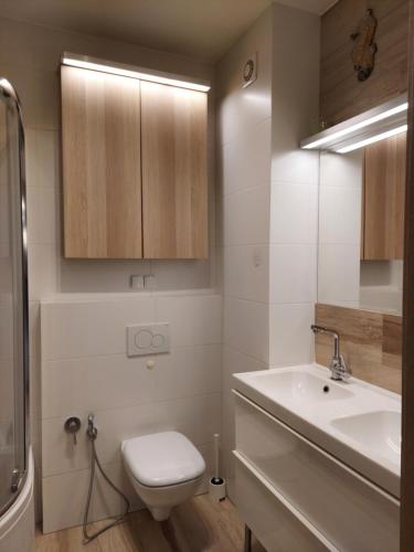 詹塔尔Apartament Morze Sztuki, Jantar的浴室配有白色卫生间和盥洗盆。
