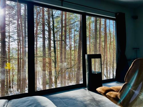 Luokesos SenPremium Forest Bungalow with Ofuro Tub的客房设有窗户,享有森林美景。