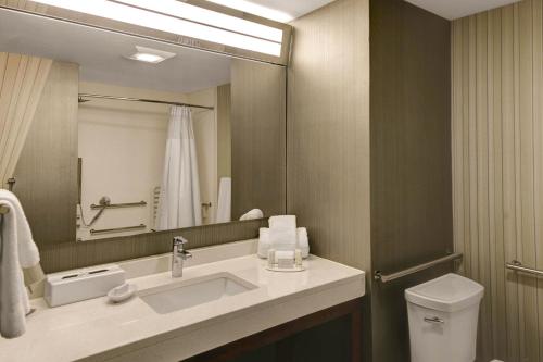 格雷特纳新奥尔良西岸/格雷特纳万怡酒店的一间带水槽和镜子的浴室