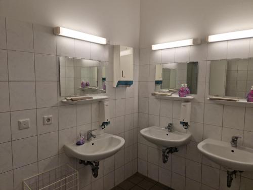 RothenklempenowSchloss Rothenklempenow的浴室设有2个水槽和2面镜子