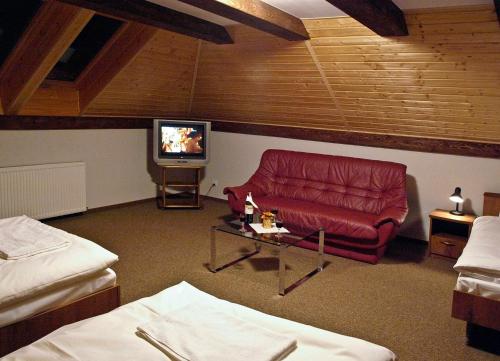 下乌斯奇基Noclegi Helvet的客厅配有红色沙发和电视