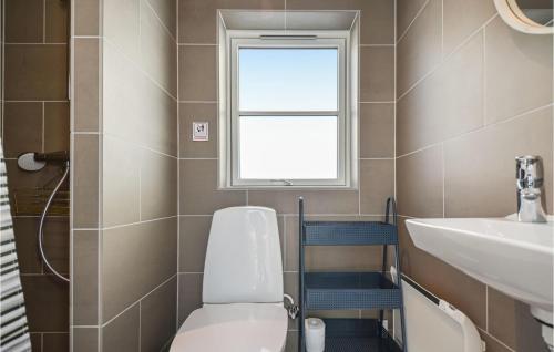 埃贝尔托夫特Beautiful Home In Ebeltoft With Kitchen的一间带卫生间、水槽和窗户的浴室