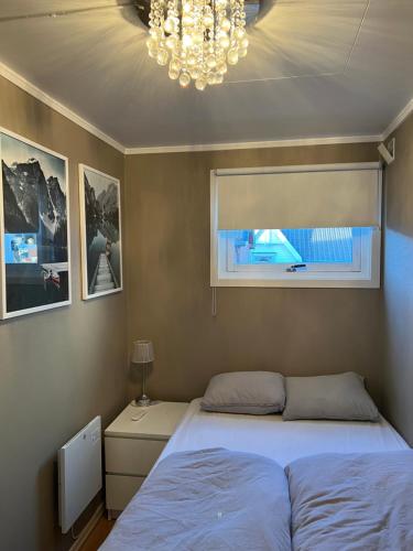 腓特烈斯塔Sentralt i Fredrikstad gratis parkering的一间卧室设有一张床、一个窗户和一个吊灯。