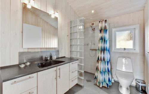 哈夫維格Pet Friendly Home In Hvide Sande With Wifi的一间带水槽和卫生间的浴室