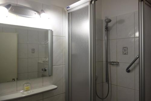 哈根莱克斯酒店的带淋浴的浴室和玻璃门