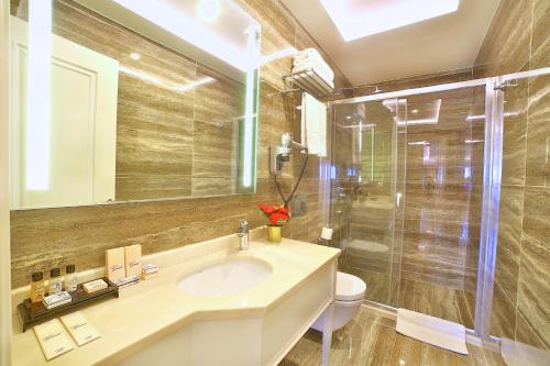 伊斯坦布尔布科酒店的一间带水槽、卫生间和淋浴的浴室