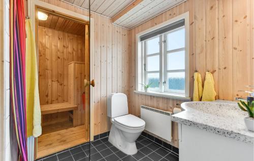 比耶勒高Amazing Home In Hvide Sande With 3 Bedrooms, Sauna And Wifi的一间带卫生间、水槽和窗户的浴室