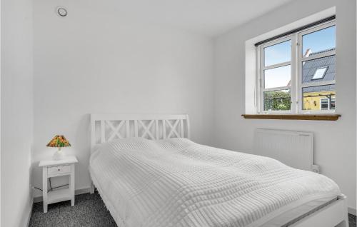 霍恩拜克Awesome Home In Hornbk With Kitchen的白色的卧室设有床和窗户