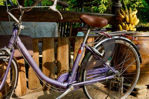Ban Lak UanGood Time Resort Koh Kood的一辆紫色自行车停在一捆香蕉旁边