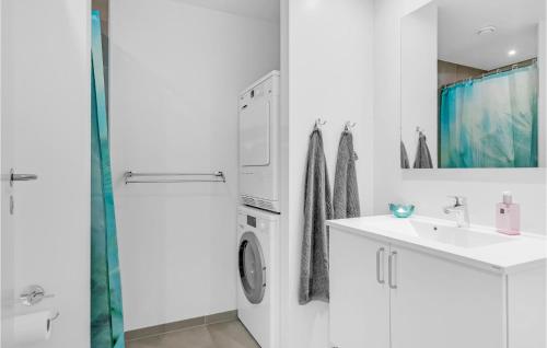 霍恩拜克Nice Apartment In Hornbk With Wifi的白色的浴室设有水槽和洗衣机。