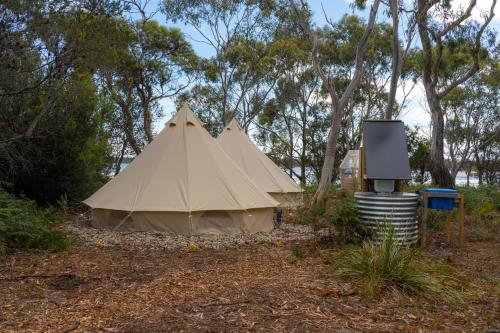 科尔斯湾Numie - Freycinet Peninsula - Glamping的树旁田野上的大型帐篷