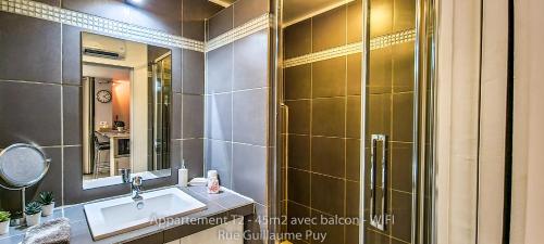 阿维尼翁Les Arcades - WIFI - Intra muros of Avignon - Balcony - 45m2的一间带水槽和淋浴的浴室