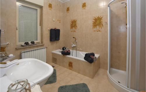 塞扎纳Awesome Home In Sezana With Outdoor Swimming Pool的设有带浴缸和淋浴的浴室。