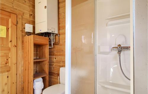 FehrenbachStunning Home In Masserberg Ot Fehrenba With Wifi的一间带卫生间和淋浴的小浴室