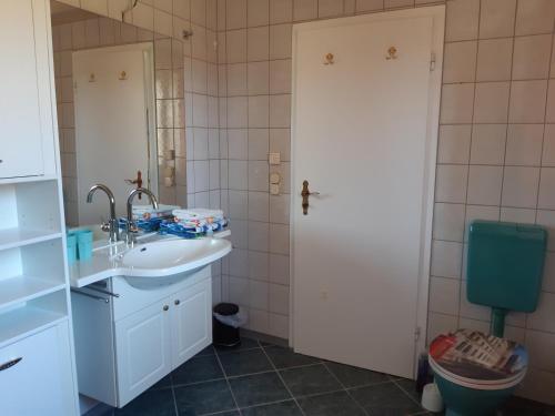 苏尔Thüringer Zimmer的一间带水槽和卫生间的浴室