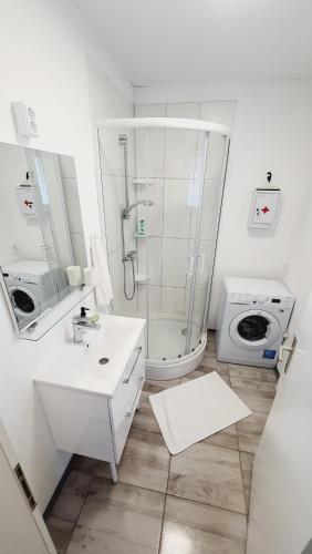 马里博尔Apartma4us的带淋浴、盥洗盆和卫生间的浴室