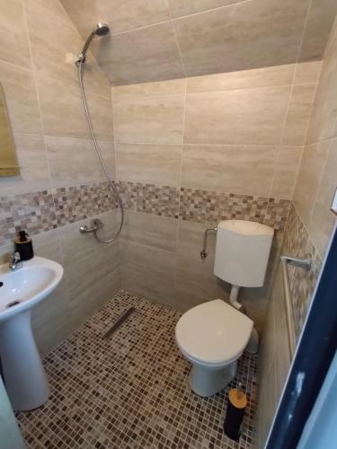 克尔茨什瓦拉乡巴莱亚萨特酒店的一间带卫生间和水槽的浴室