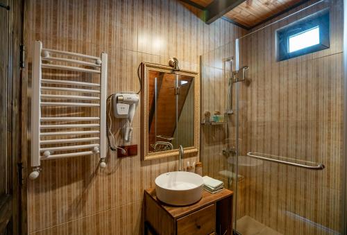 卡兹贝吉Voyager的一间带水槽和淋浴的浴室