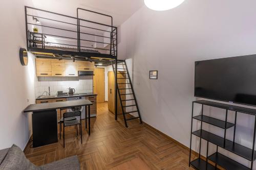 罗兹Apartamenty KOLUMNY 217 parking bezpłatny的厨房以及带阁楼的起居室。
