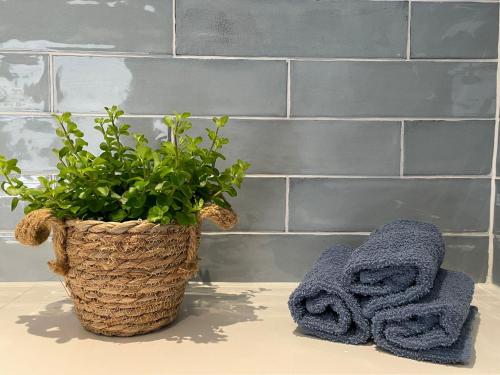 布勒伊尼瑟't Achterom的浴室里装有植物,柜台上装有两条毛巾