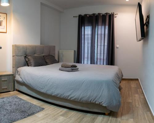 塞萨洛尼基Alexandros的一间卧室配有一张大床和毛巾