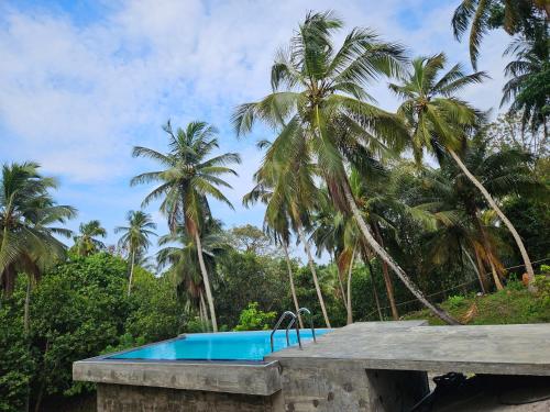 库鲁内格勒THE HIDEOUT KURUNEGALA的一座棕榈树环绕的游泳池
