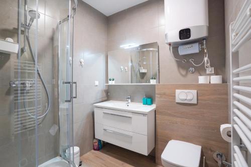 别拉什尼察naTURE apartment Bjelasnica的浴室配有卫生间水槽和淋浴。