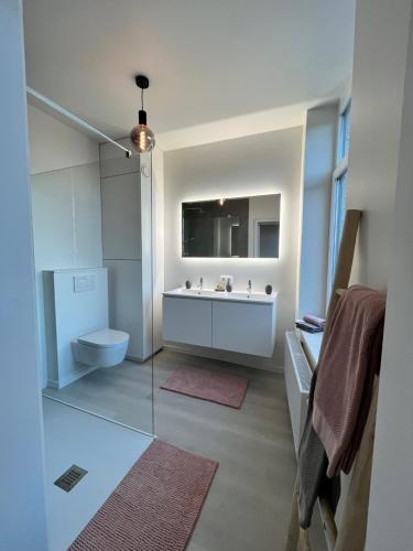 根特Holiday Home La Petite Maison的一间带水槽、卫生间和镜子的浴室