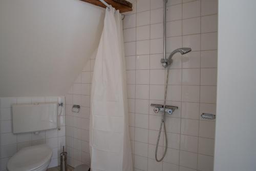 聚特芬De Hilde的带淋浴和浴帘的浴室