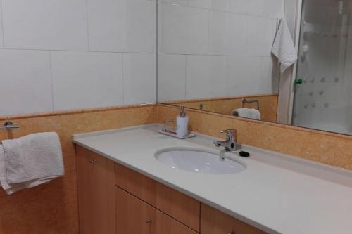 布尔戈斯Grande, luminoso y con garage, 3 dormitorios en el camino de Santiago的浴室设有白色水槽和镜子
