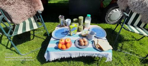 HommertsDe Huifkar, bij Sneek aan elfstedenroute的野餐桌,上面放着食物在草地上